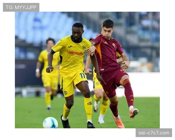 意甲财务公平法案执行情况调查，多支球队面临审查